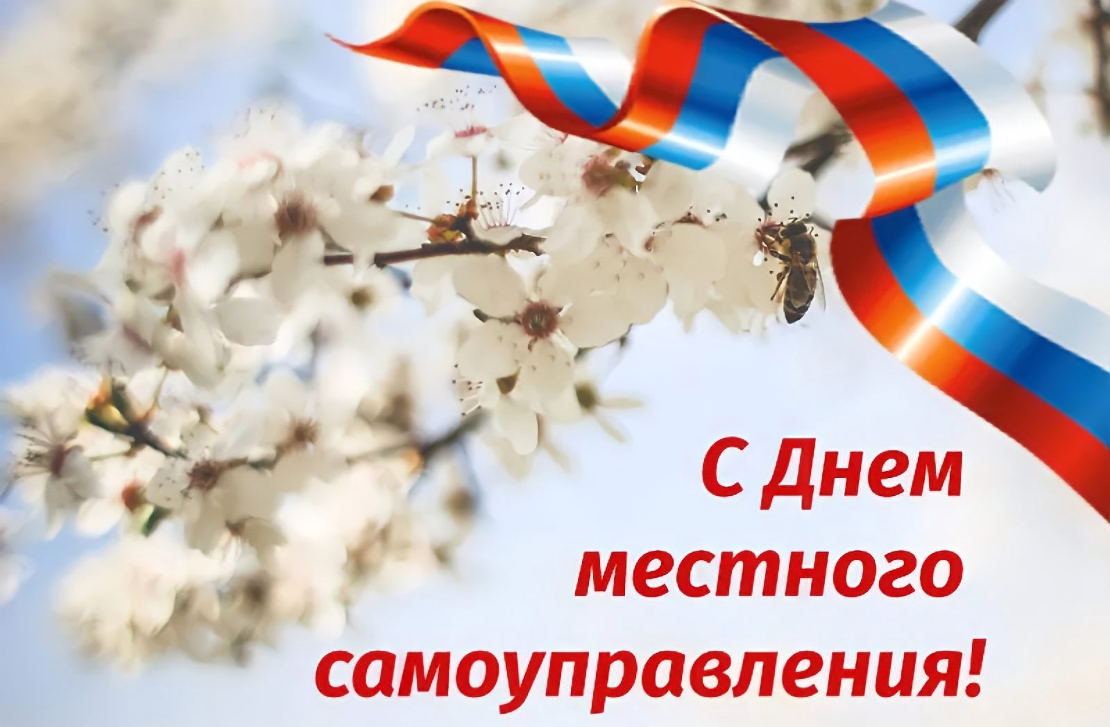 Поздравление врип Главы городского округа города Стаханова Наталии Жулинской с Днем местного самоуправления.