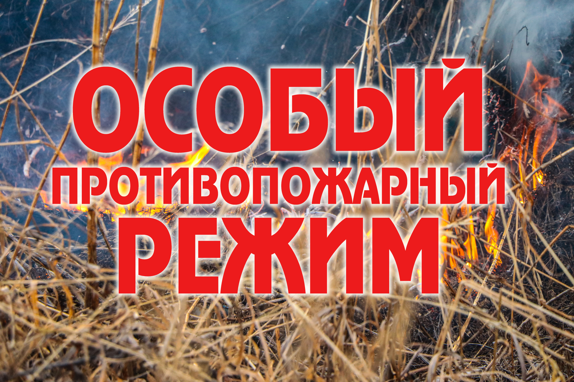 Введен особый противопожарный режим.