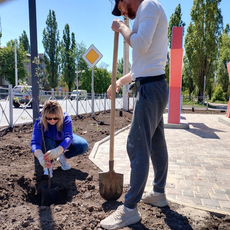 В сквере Защитников Отечества высадили первые яблони и в ближайшие дни установят новые лавочки.