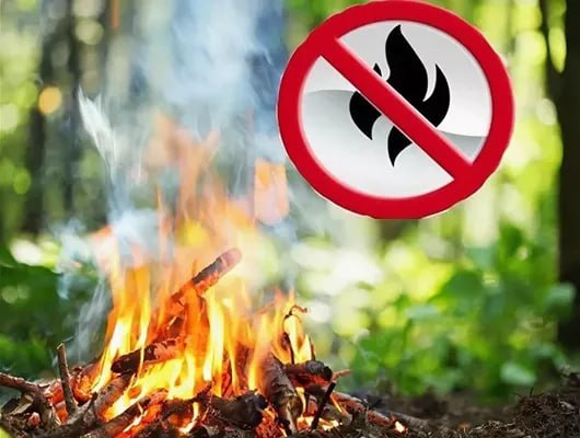 Важно! Установлен особый противопожарный режим.
